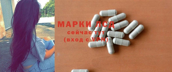 крисы Верея