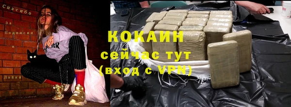 крисы Верея