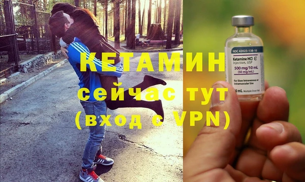 крисы Верея