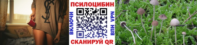 где купить   Катав-Ивановск  Галлюциногенные грибы Psilocybe 